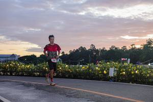 BIB: 
                            <button type="button" onclick="openModal(26555030)" class="btn btn-primary btn-sm float-right btn-popup" data-toggle="modal" data-target=".modal-high-quality">
                        <i class="fas fa-shopping-cart"></i> Add to Cart
                    </button>
                                            <button type="button" onclick="isThisMe(26555030, true)" class="btn btn-success btn-sm float-right btn-popup btn-isme hidden" data-toggle="tooltip" data-placement="bottom" title="นี่คือรูปของคุณใช่ไหม คลิกที่นี่เพื่อเอาเข้าอัลบั้ม">
                        <i class="fas fa-plus"></i> Add to album
                    </button>
                    <button type="button" onclick="isThisMe(26555030, false)" class="btn btn-warning btn-sm float-right btn-popup btn-isnotme hidden">
                        <i class="fas fa-ban"></i> Remove from album
                    </button>